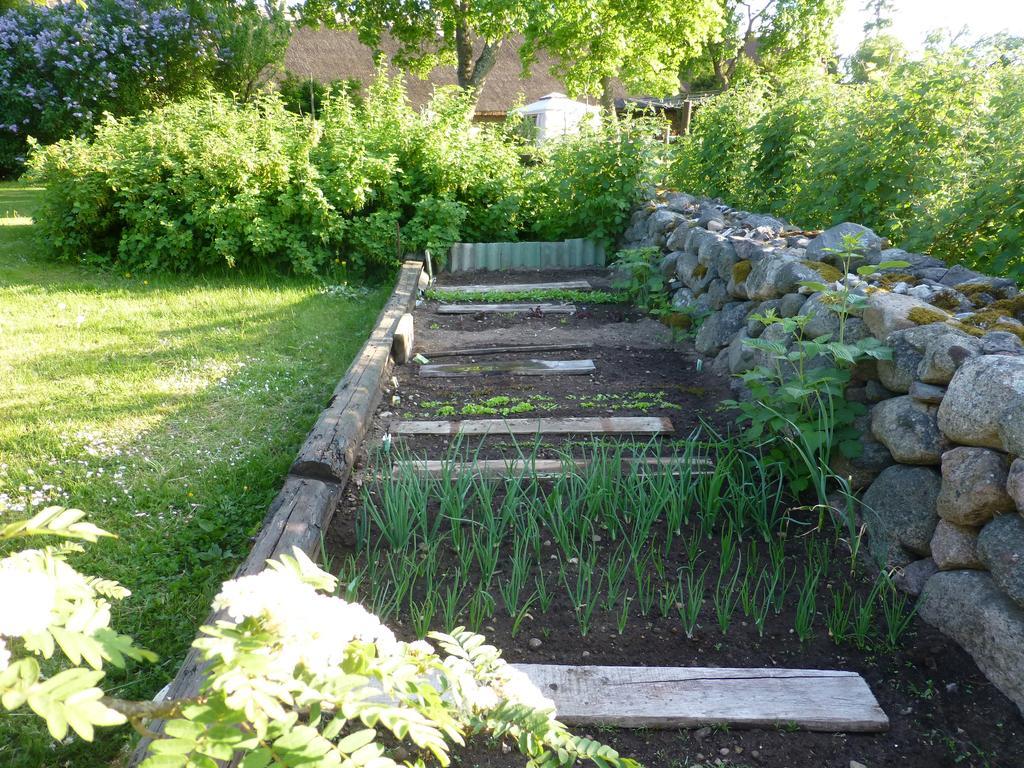 הוילה Upa Jurna Recreation Farm מראה חיצוני תמונה